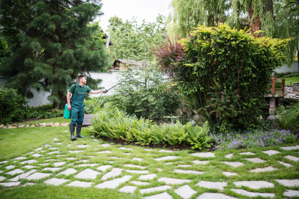 Best Mosquito Control Services  in Ankeny, IA