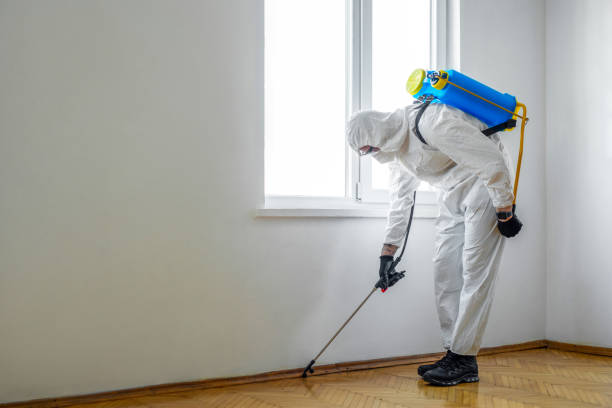 Wildlife Control Services in Ankeny, IA