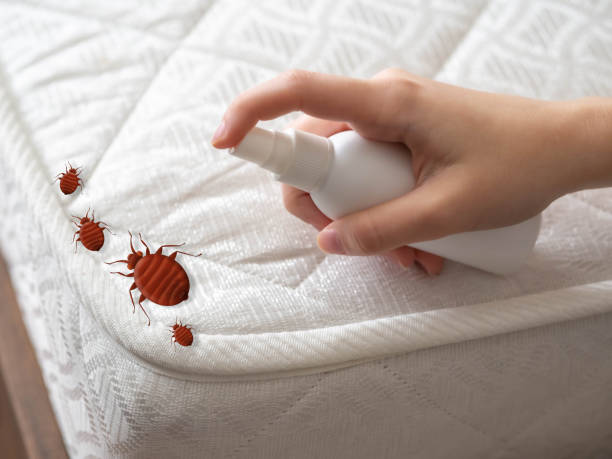 Best Pest Prevention Services  in Ankeny, IA