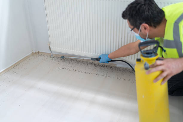 Best Best Pest Control Companies  in Ankeny, IA
